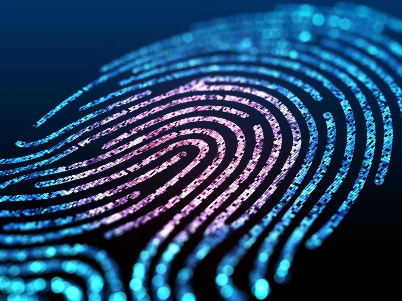 AFIS Automated Fingerprint Identification System