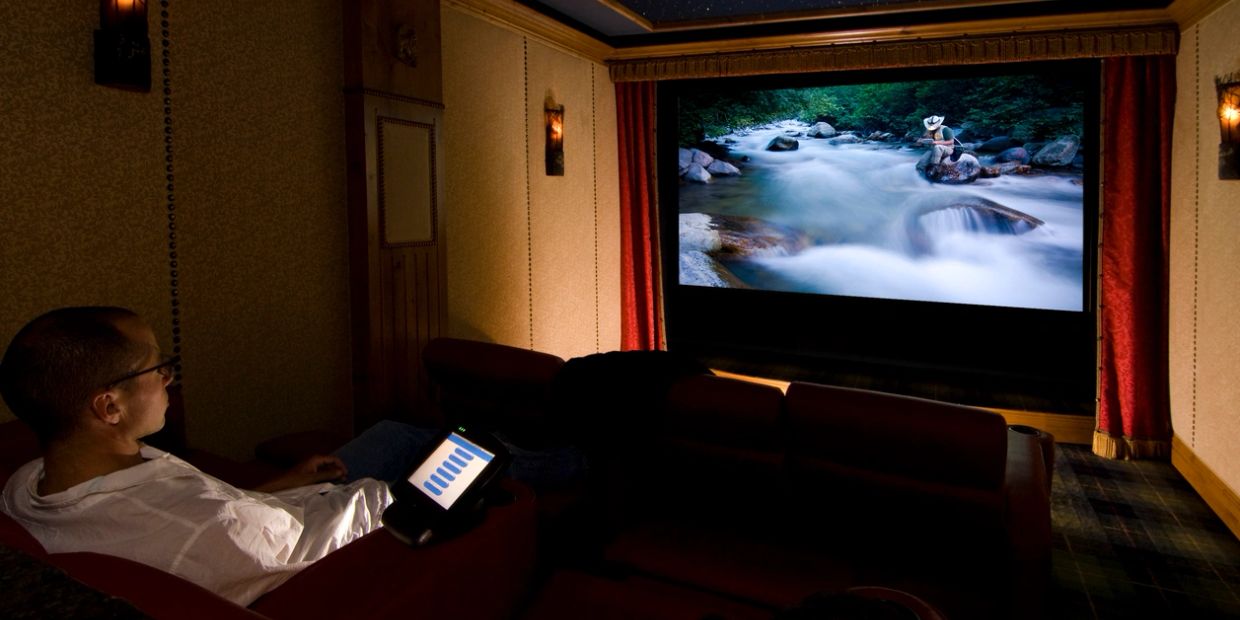 Person watching nature video on large screen in dark room.