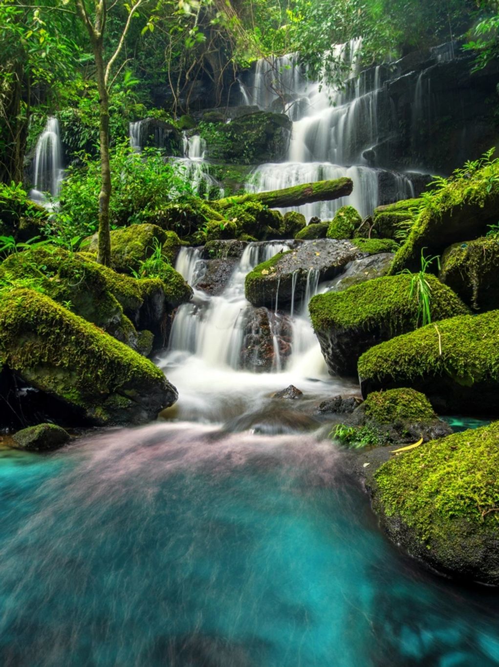 Tranquil waterfall cascading over mossy rocks in a lush green forest.