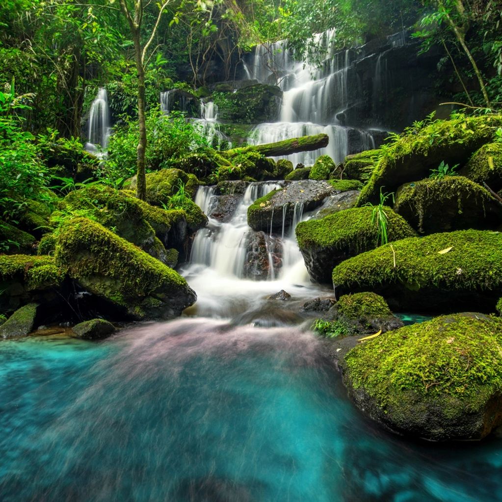 Tranquil waterfall cascading over mossy rocks in a lush green forest.