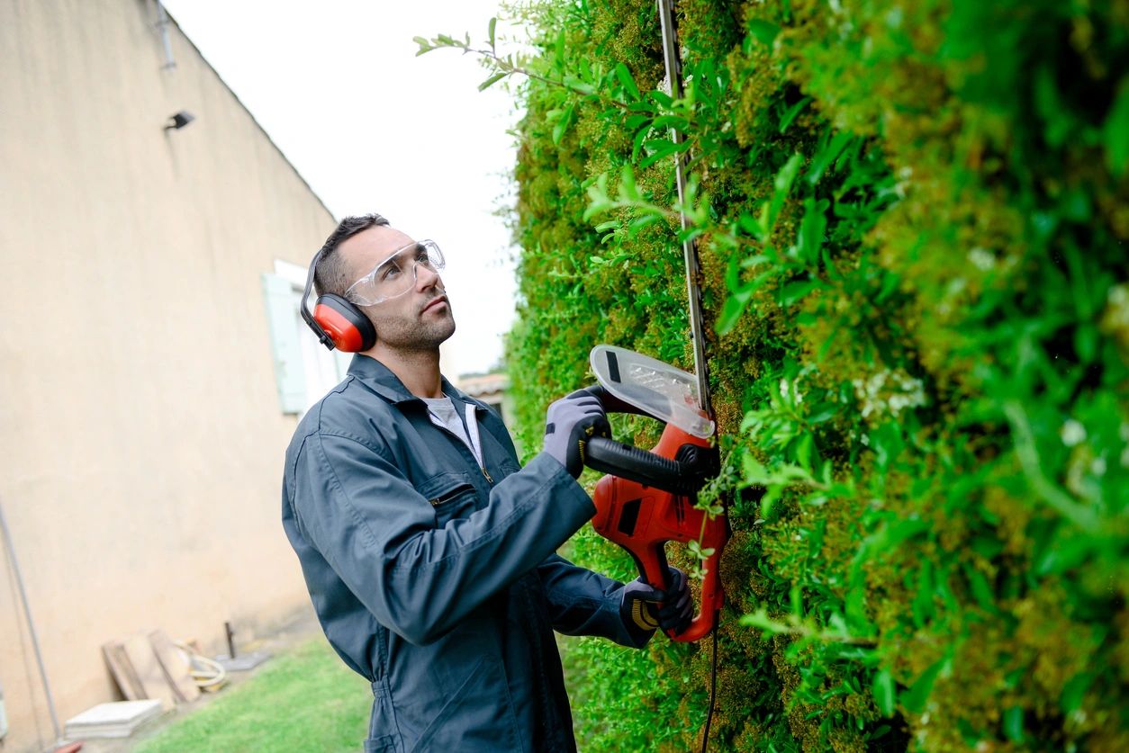 Gardening services maintenance
