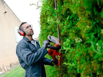 Bush trimming