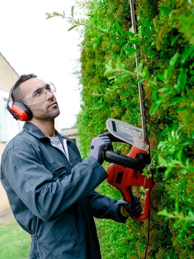 Professional landscaper doing tree pruning in a yard.