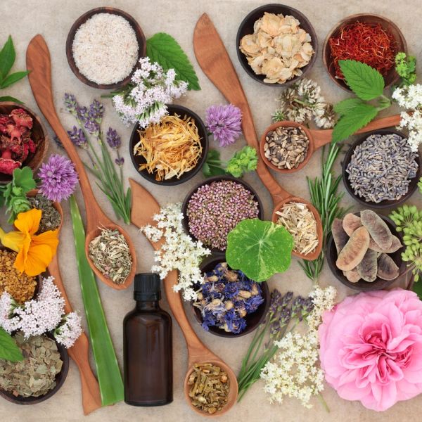 Various dried herbs, flowers, and seeds arranged with wooden spoons and a brown bottle.