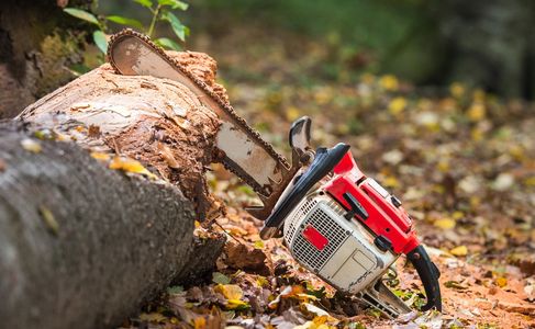 Tree removal storm relief 