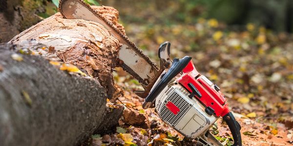 Ottawa Tree Removal Services