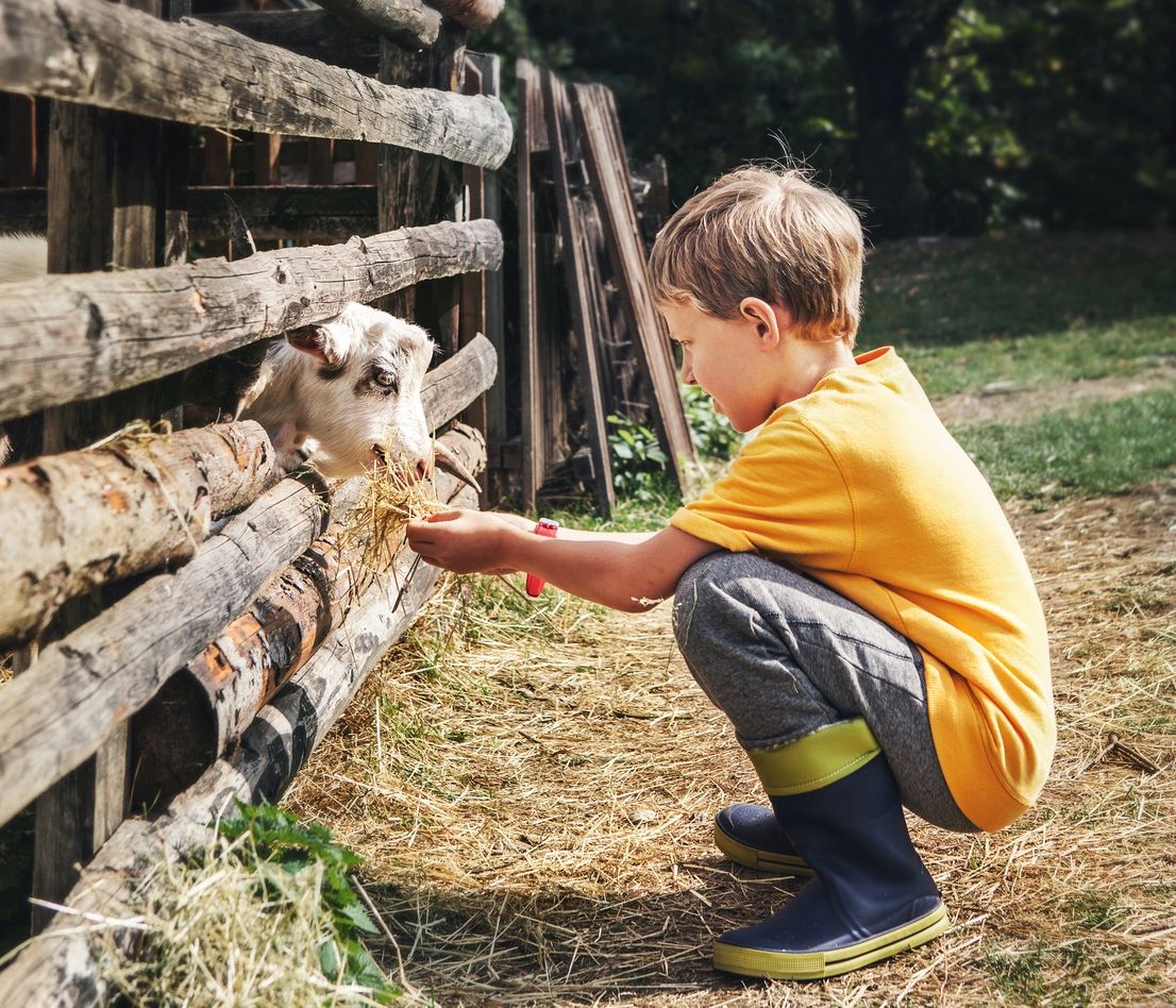 traveling petting zoo