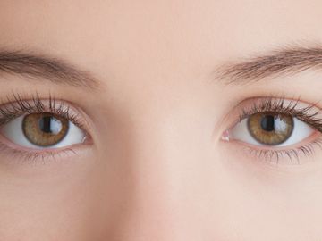 Guild Accredited Lash & Brow Treatments Course