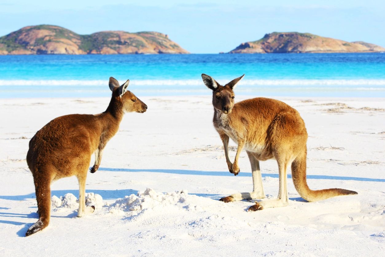Australian Adventures with Brightside Vacations