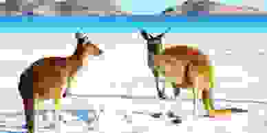 empower engage educate locals by locals for locals we understand the business landscape needs wants