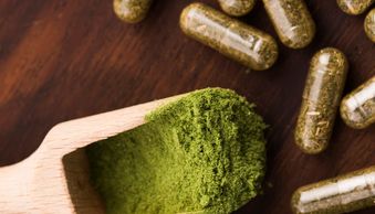 insumos, alimentos, cereales, cervecería, condimentos, chocoladas, harinas, suplementos alimenticios