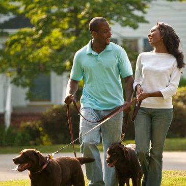 A smiling couple walking their two dogs in a sunny neighborhood.