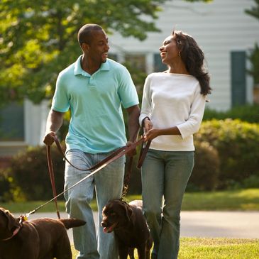 Happy couple walking their dogs in a sunny neighborhood.