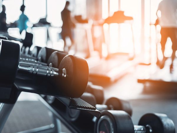 free weights
