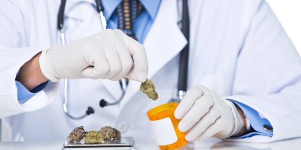 Doctor weighing cannabis and putting it in a prescription bottle