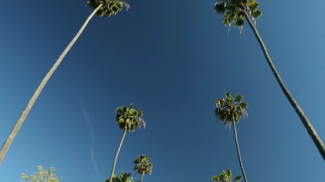 https://img1.wsimg.com/isteam/videos/lVWQN6B