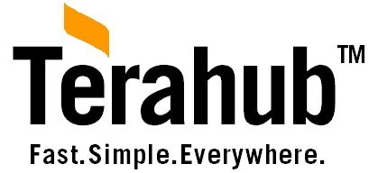 Terahub Web Services