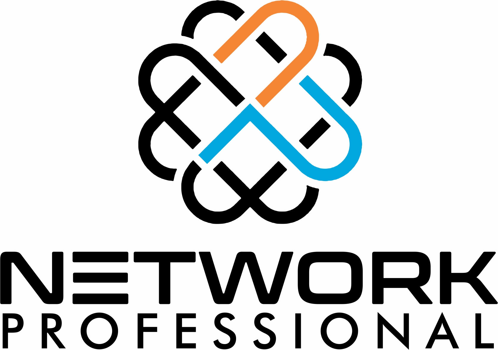 Network Professional, Inc.