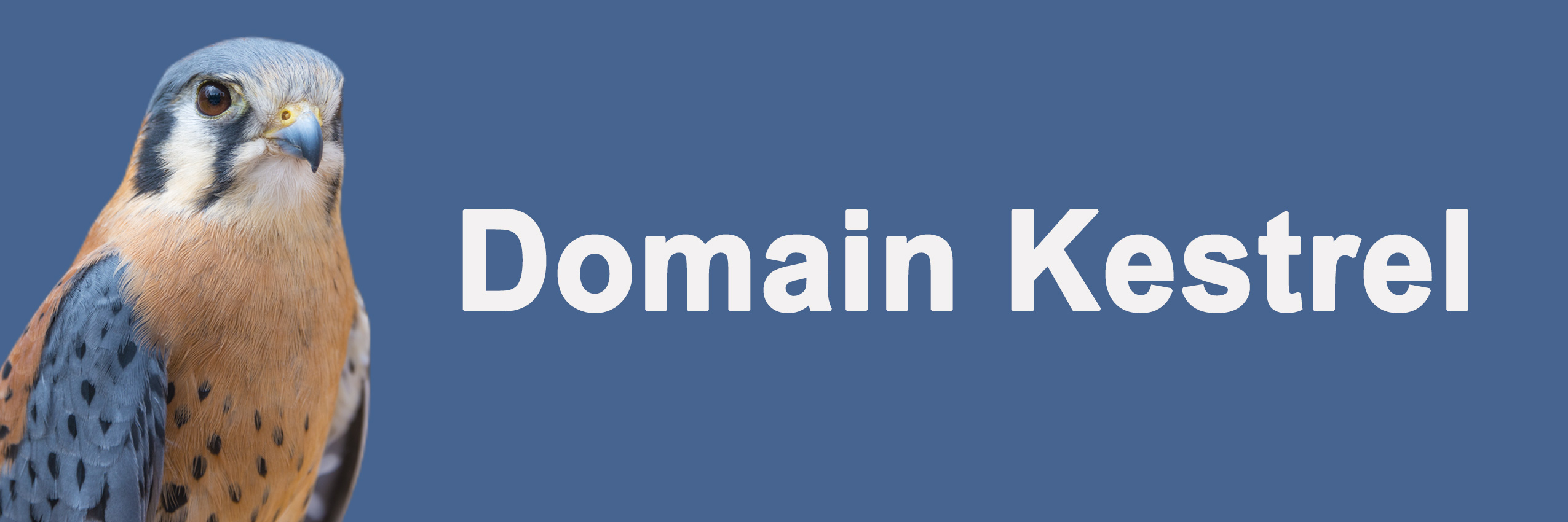 Domain Kestrel dot com