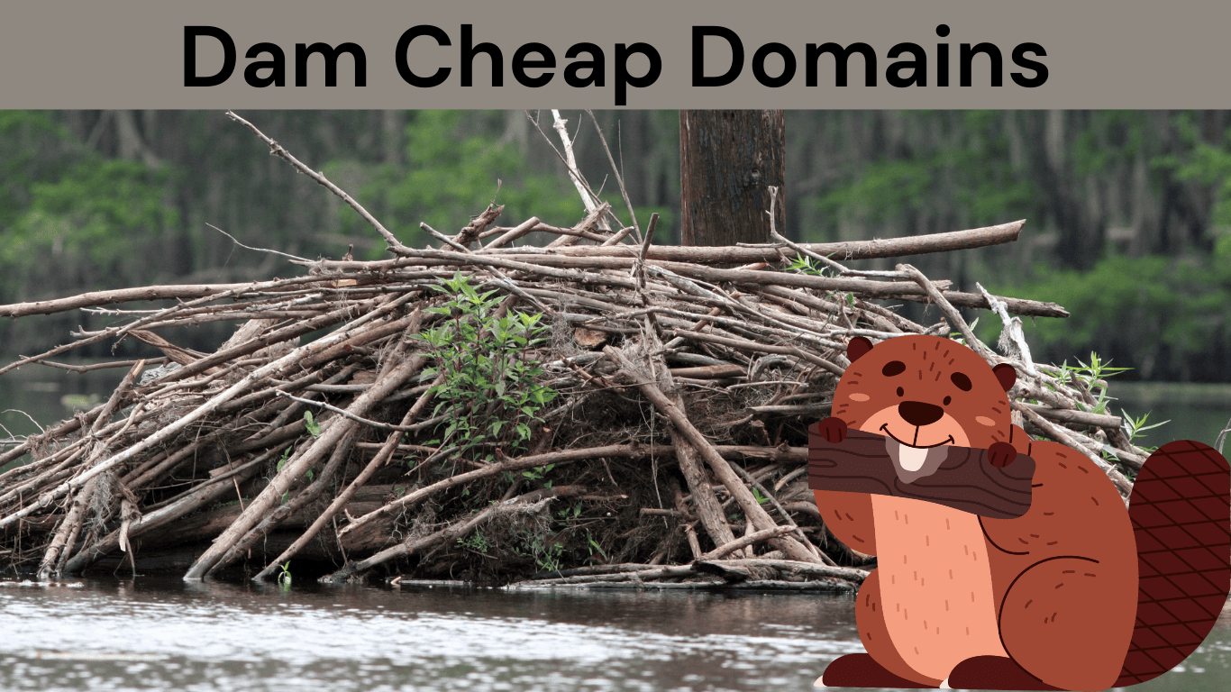 DamCheapDomains.com
