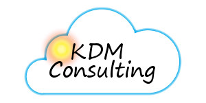 KdmConsulting Domain Store