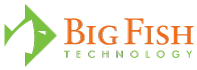 Big Fish Technology