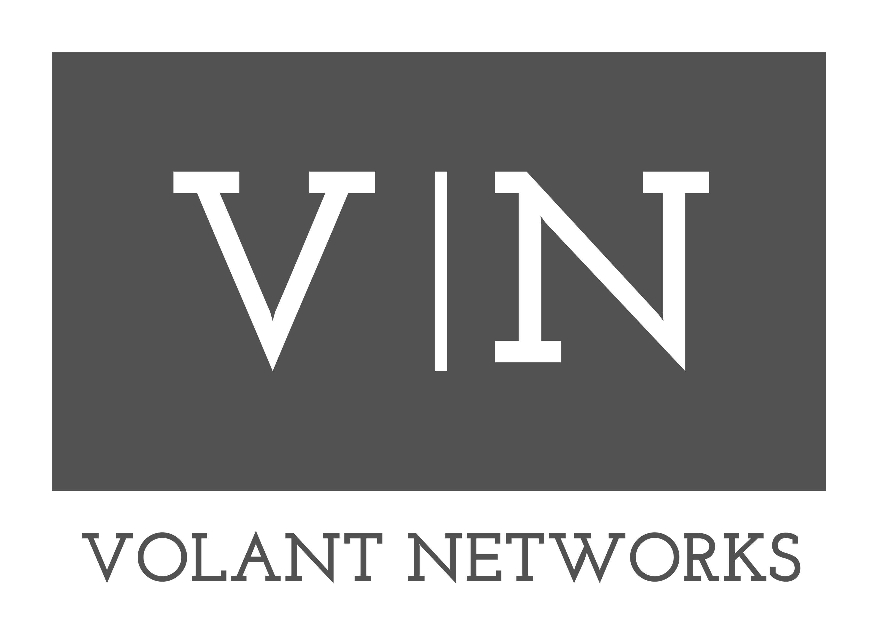 Volant Networks Inc