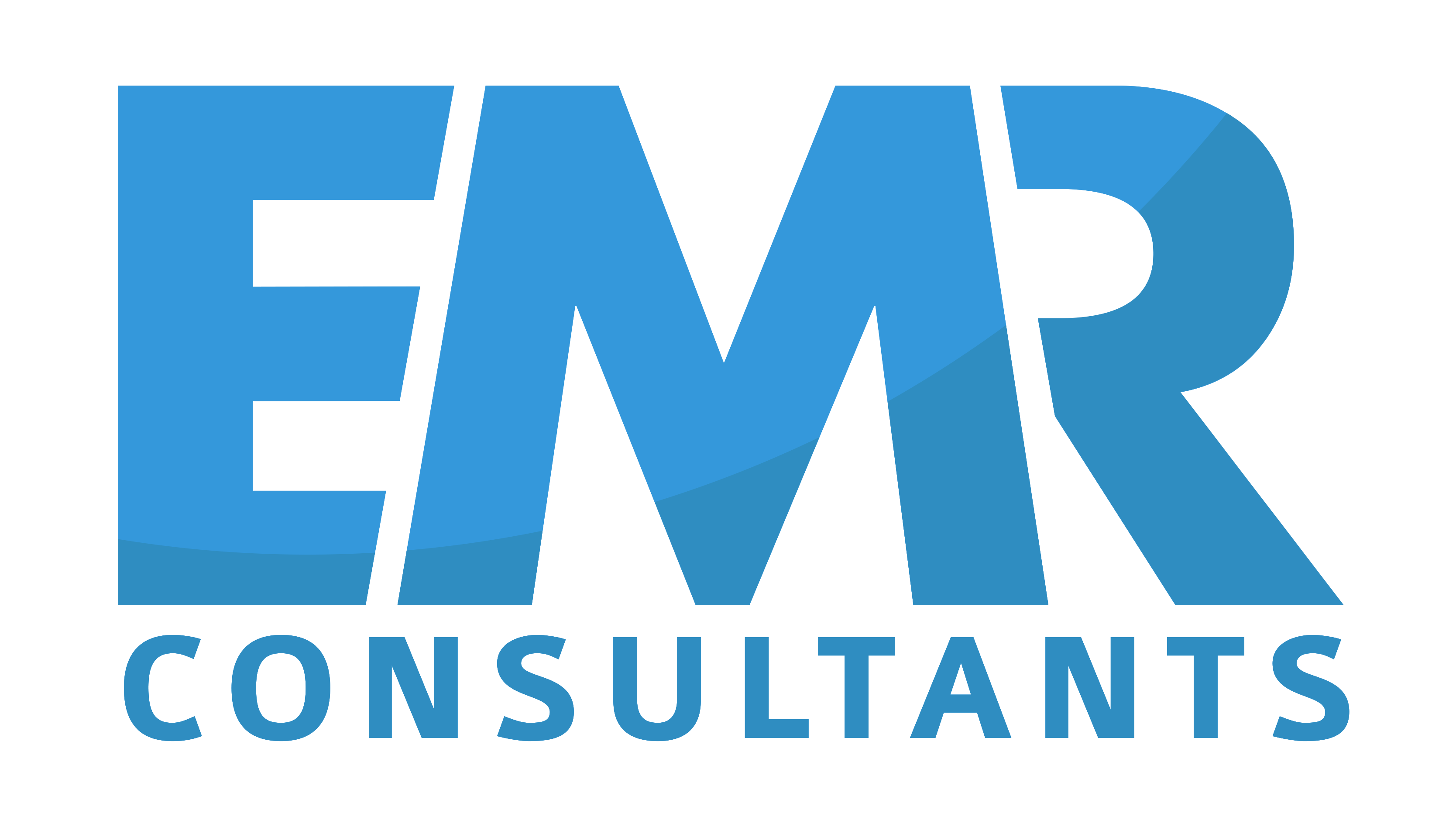 EMR Consultants