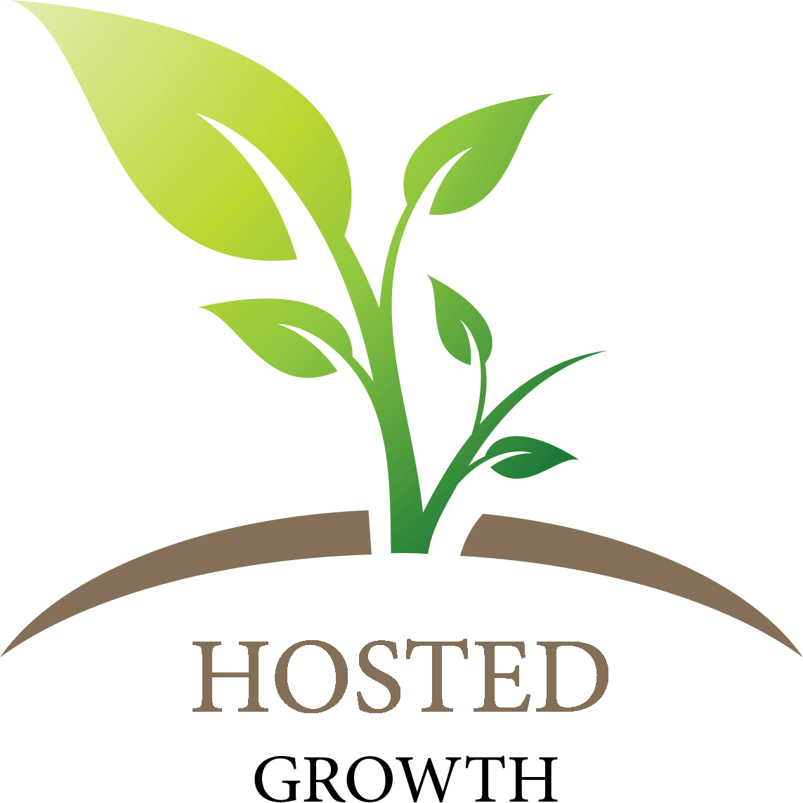 Hosted Growth Webhosting