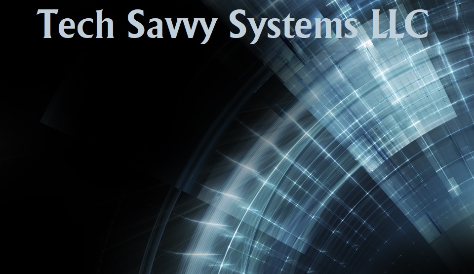 Tech Savvy Systems LLC