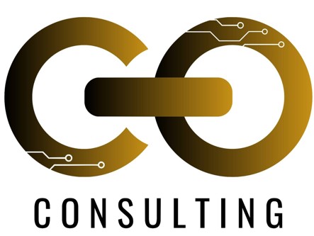 CIO Consulting Group, LLC