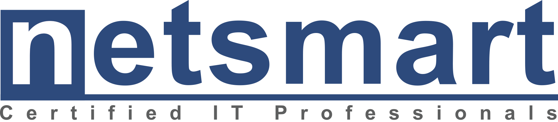 Netsmart Inc.