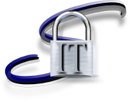 Select Secure Solutions LLC