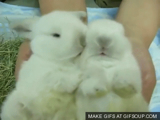 Moon Mermaid Test ACAT 💲✔🆙🆒🆕❤🧡💛💚💙💜