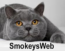 Smokeys Web