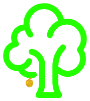 Responsible Solutions Holding Co.
