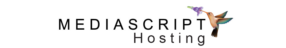 MediaScript Hosting