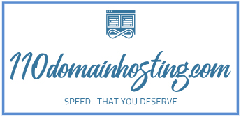 110domainhosting.com