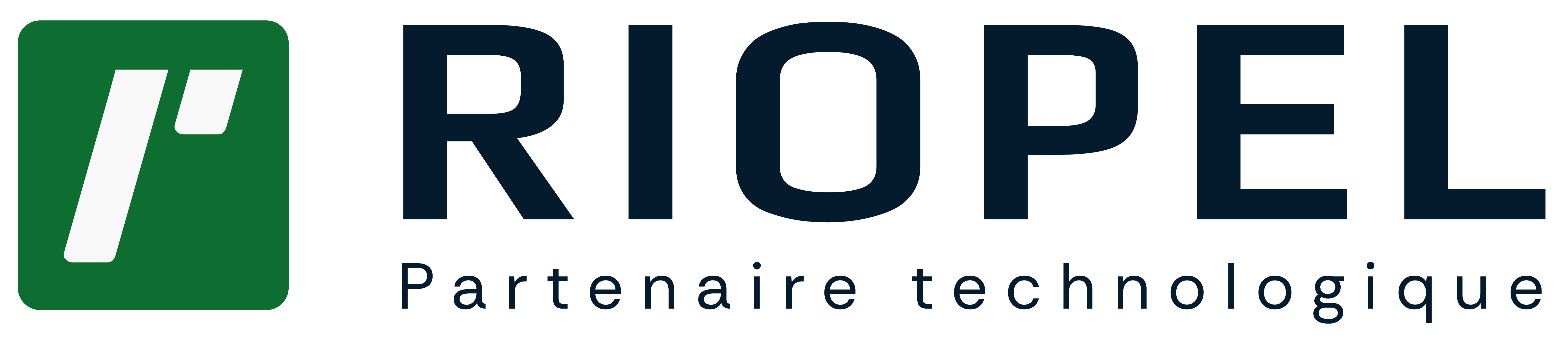 Riopel Consultant Inc.