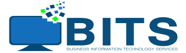 BITS : Business Information Technology Services, LLC