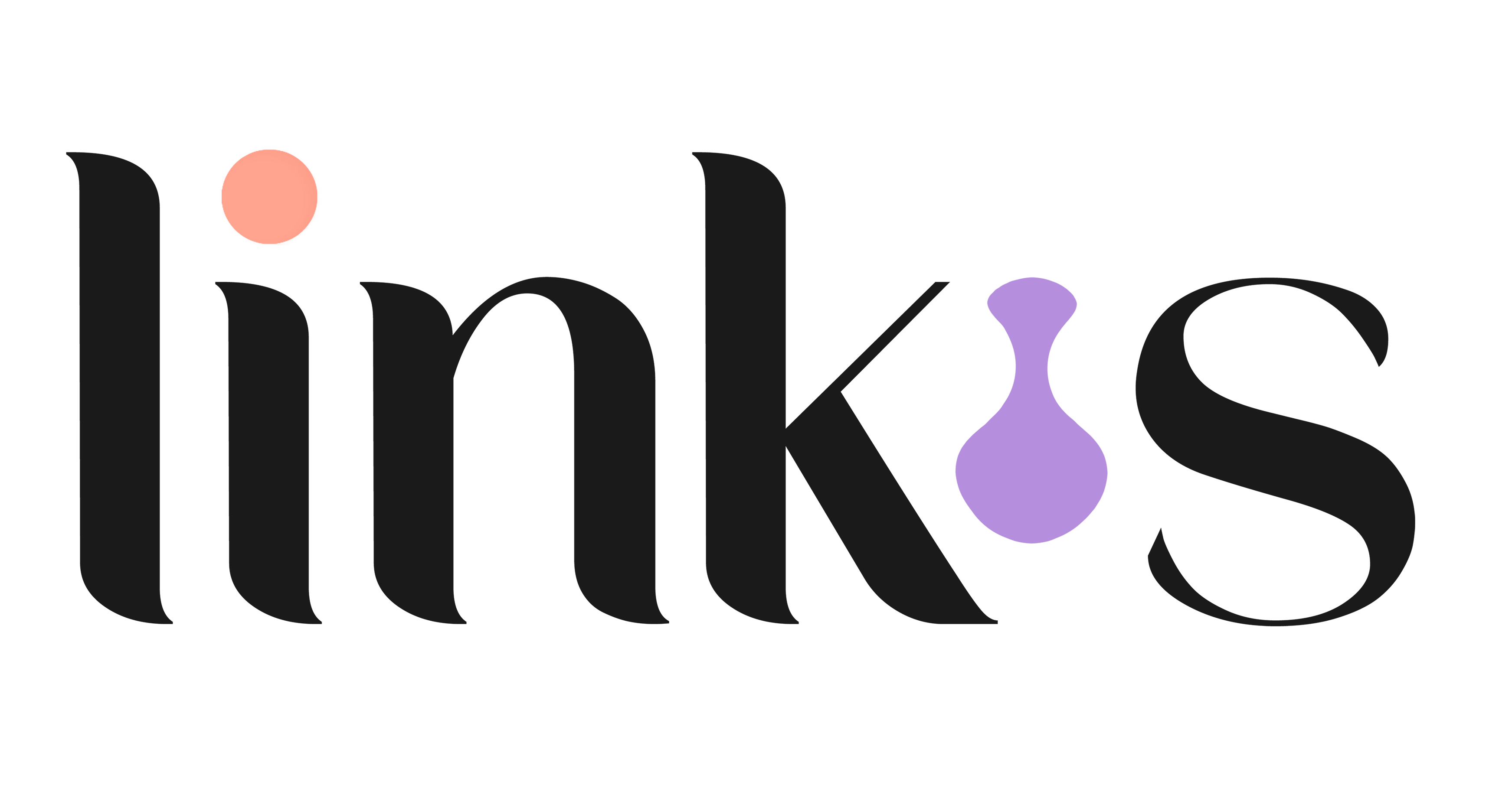 link.s by digitale.linK