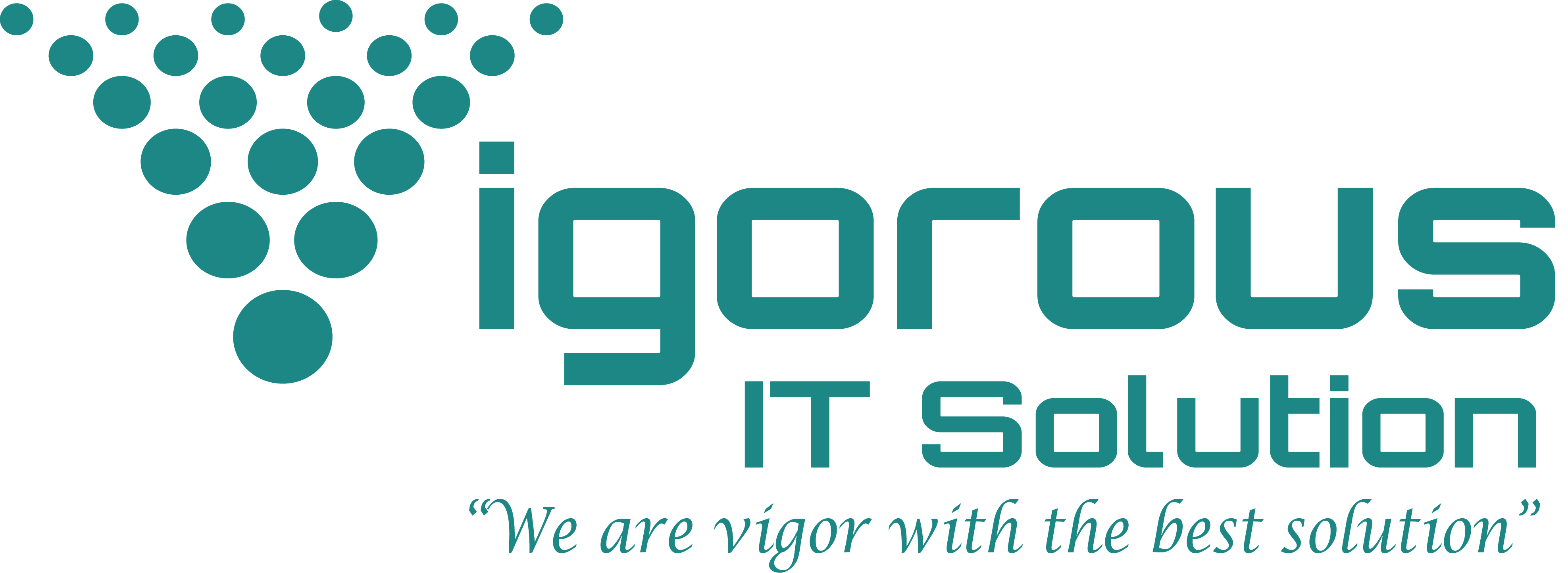 Vigorous IT Solution