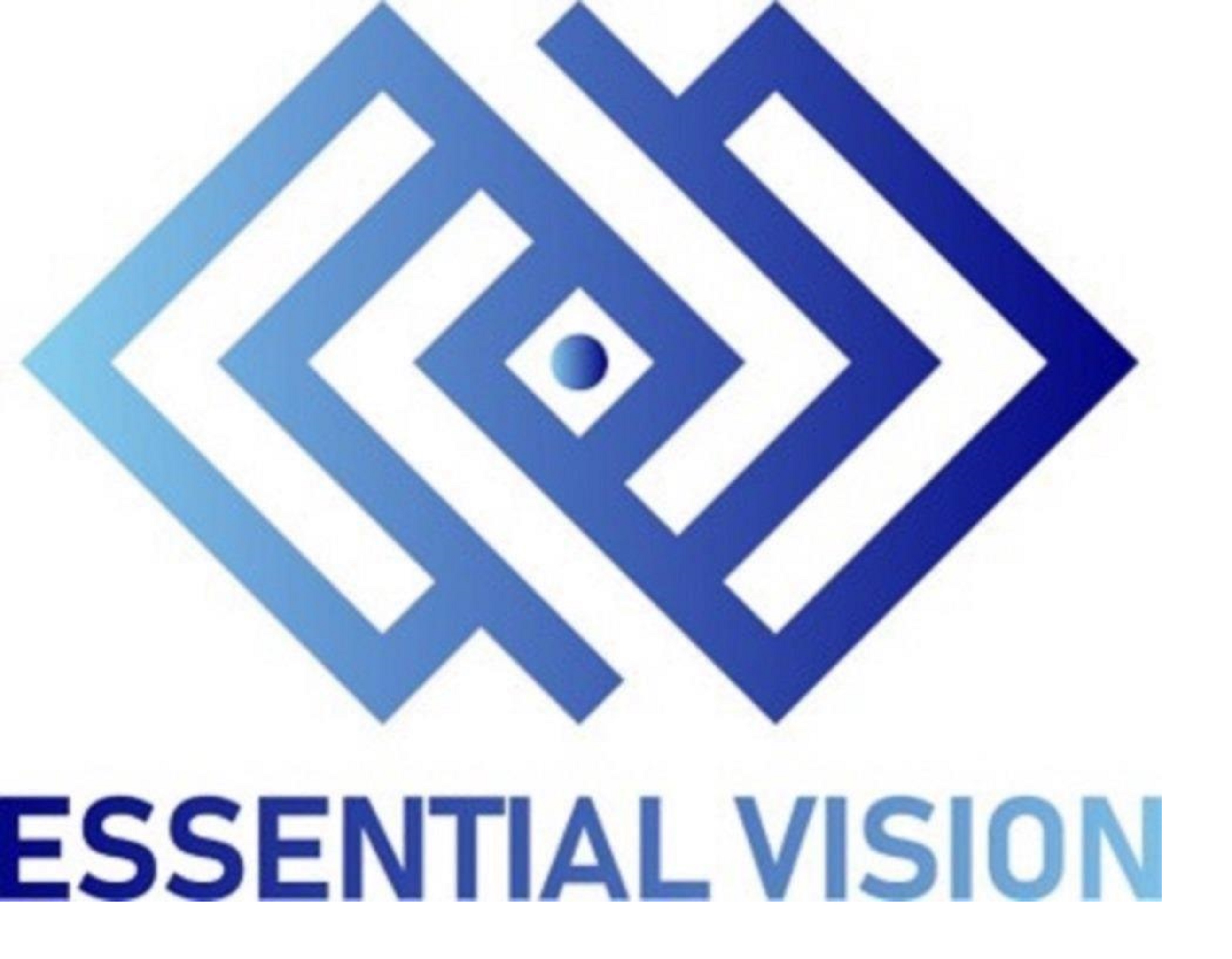 Essential Vision