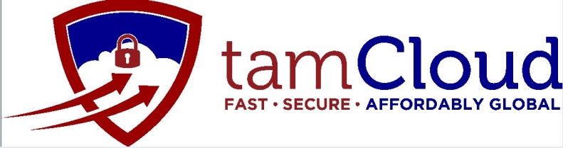ChaseNetworks.com/div of tamCloud.com
