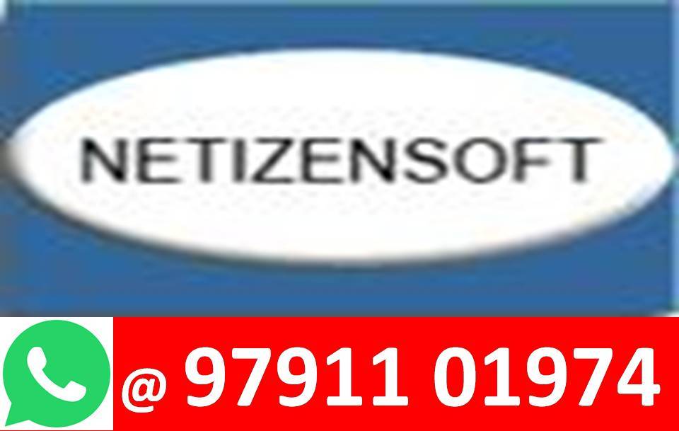 Netizensoft - Digital Marketing Solution Provider - 97911 01974
