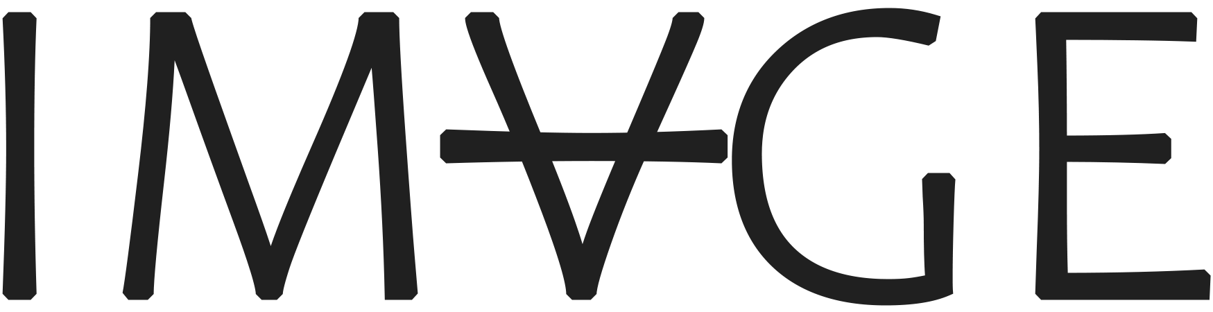 IMVGE LLC