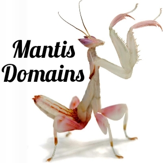 Mantis Domains