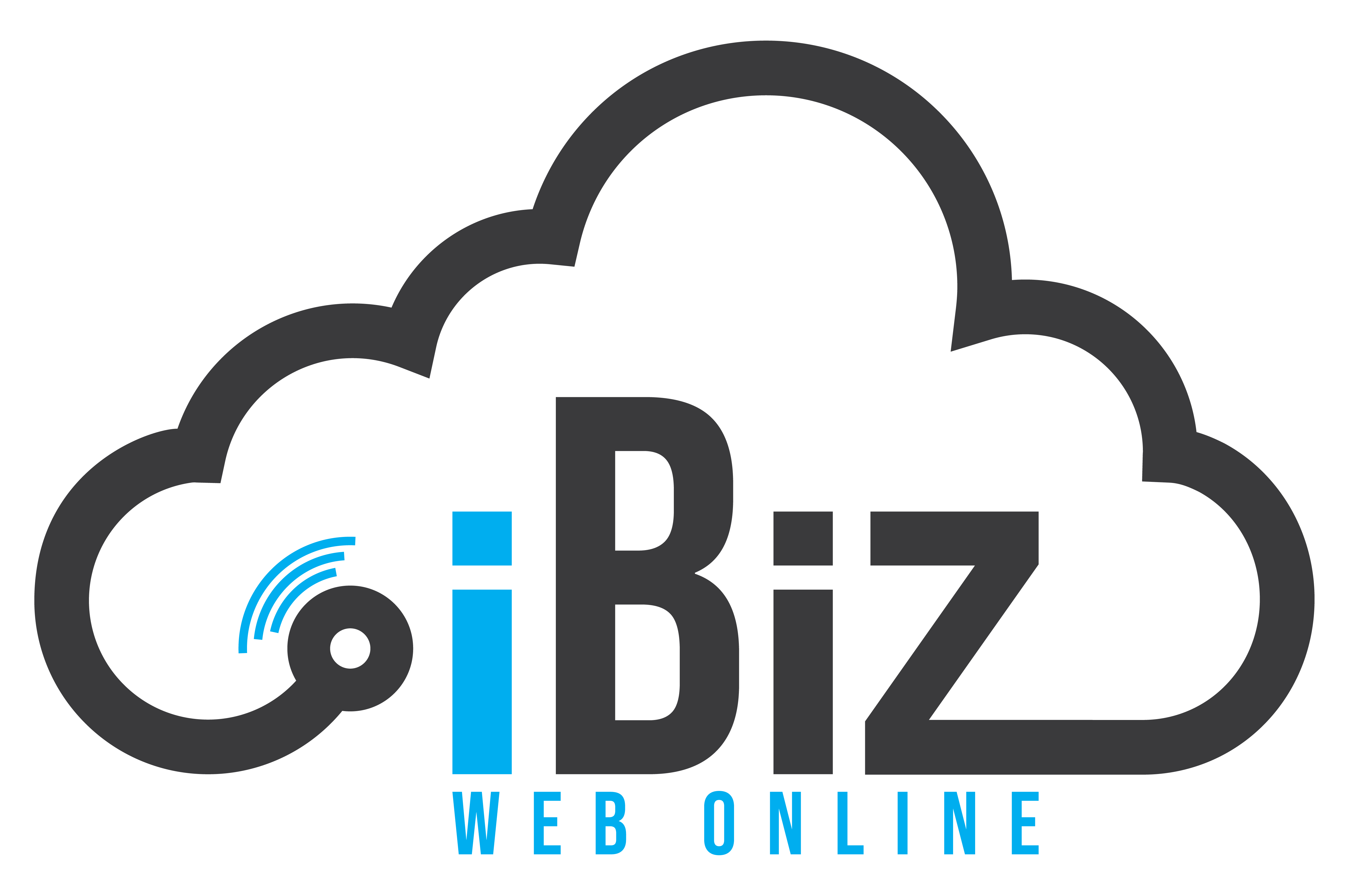iBiz Web Online