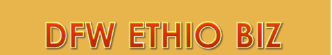 DFW Ethio Biz