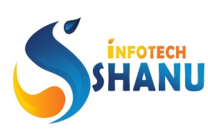SHANU INFO TECH (WEB DEVELOPMENT COMPANY)